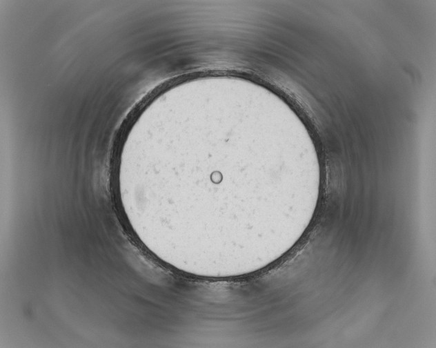 X0000112780828200908201527