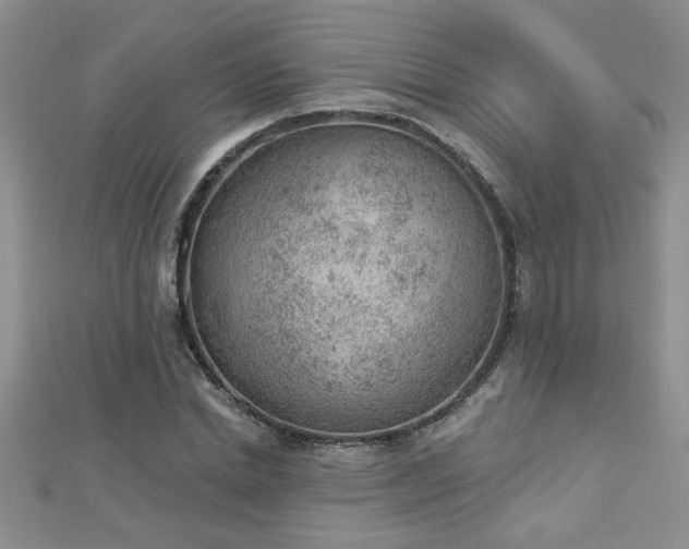 X0000112780830200908201527