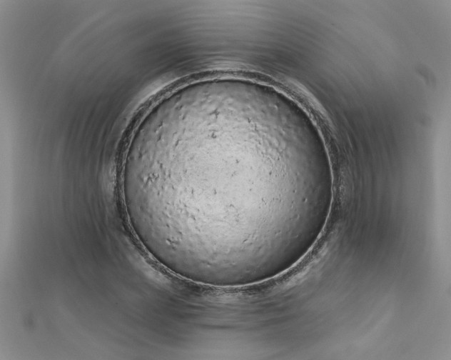 X0000112780831200908201527