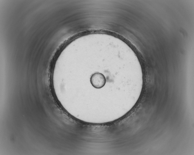 X0000112780832200908201527