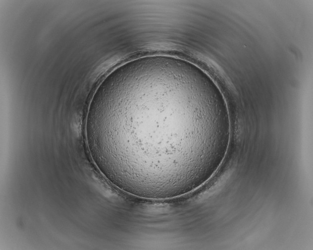 X0000112780833200908201527