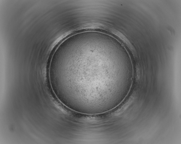 X0000112780834200908201527