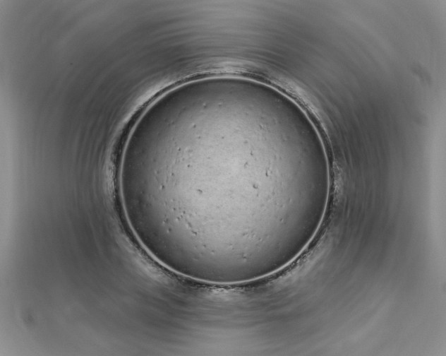 X0000112780835200908201527