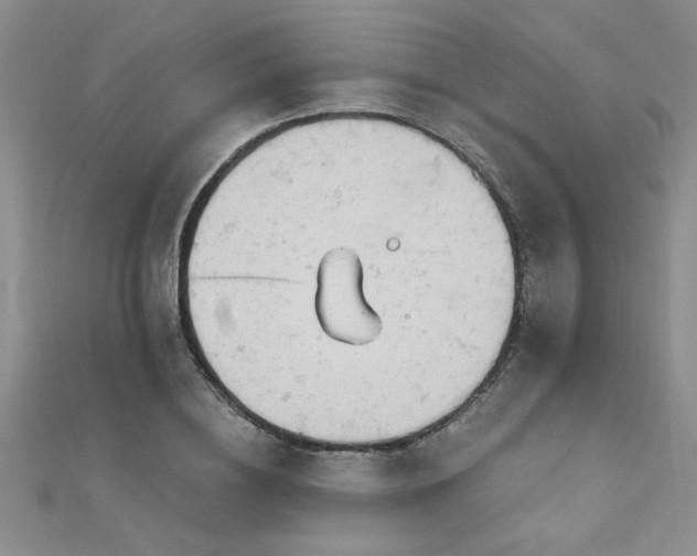 X0000112780836200908201527