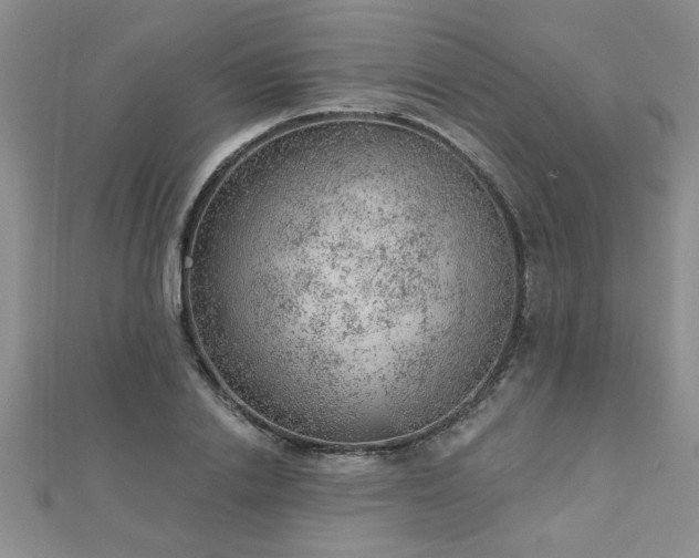 X0000112780838200908201527