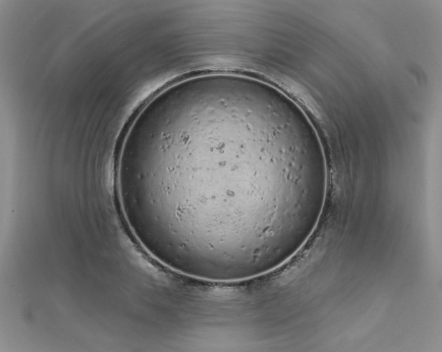 X0000112780839200908201527