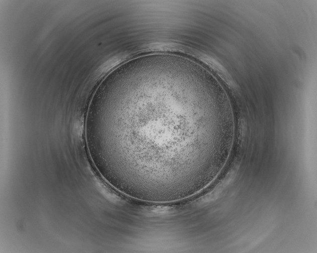 X0000112780841200908201527