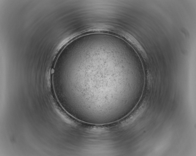 X0000112780842200908201527