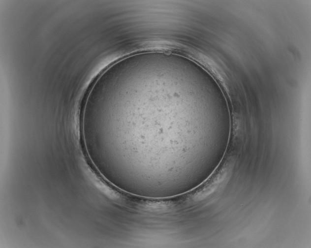 X0000112780843200908201527