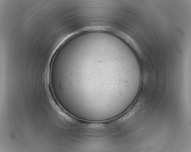 X0000112780844200908201527