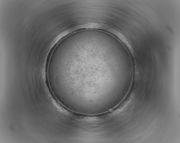 X0000112780845200908201527