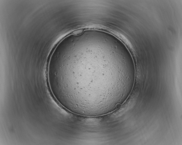 X0000112780847200908201527