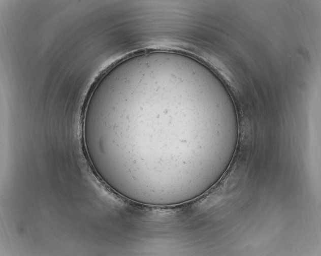 X0000112780848200908201527