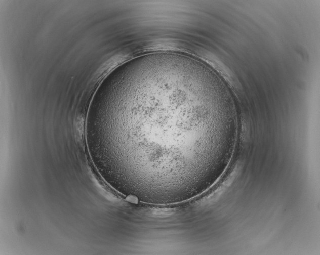 X0000112780849200908201527