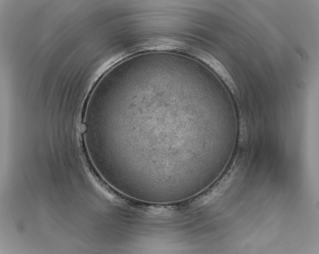 X0000112780850200908201527