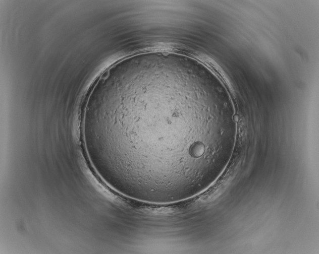 X0000112780851200908201527