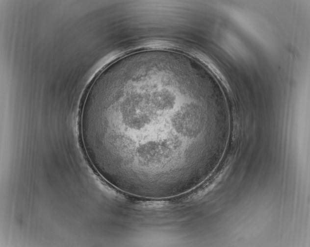 X0000112780853200908201527