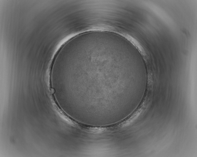 X0000112780854200908201527