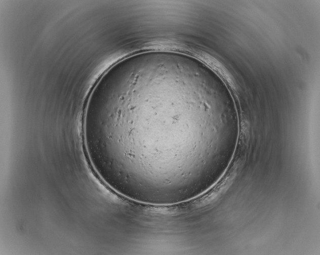 X0000112780855200908201527