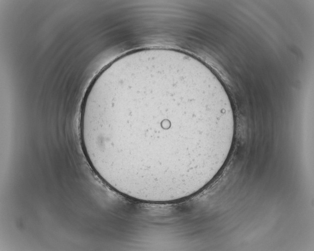 X0000112780856200908201527