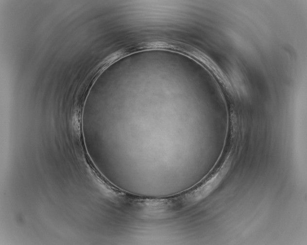 X0000112780857200908201527