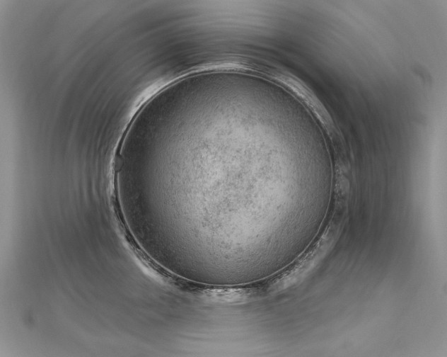 X0000112780858200908201527