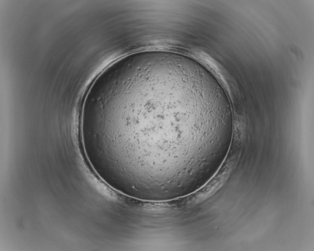 X0000112780859200908201527