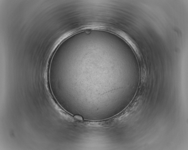 X0000112780861200908201527