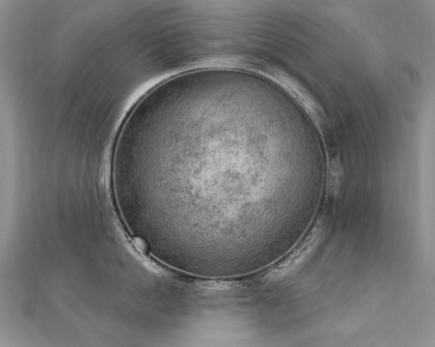 X0000112780862200908201527