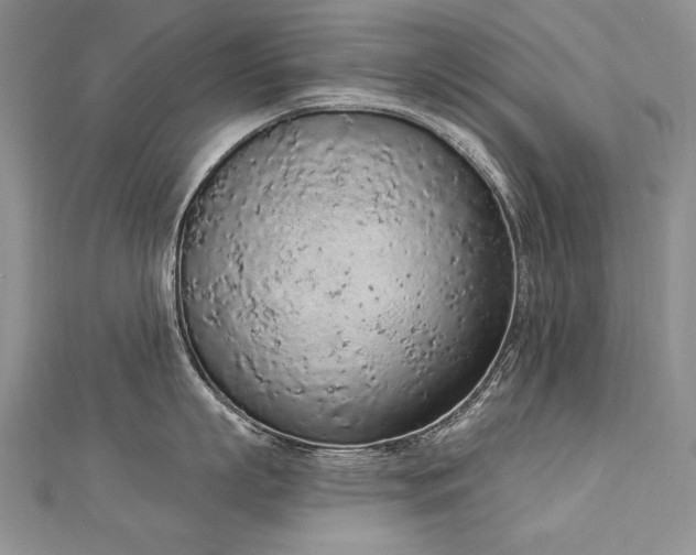 X0000112780863200908201527