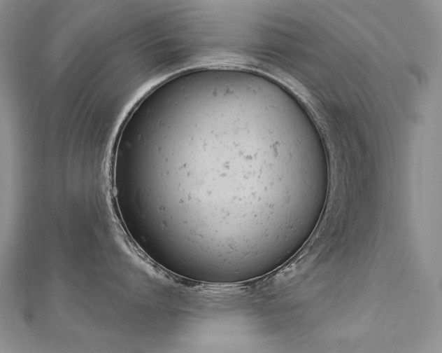 X0000112780864200908201527