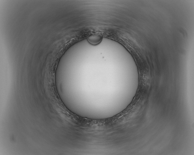 X0000112780865200908201527