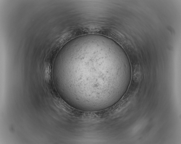 X0000112780866200908201527