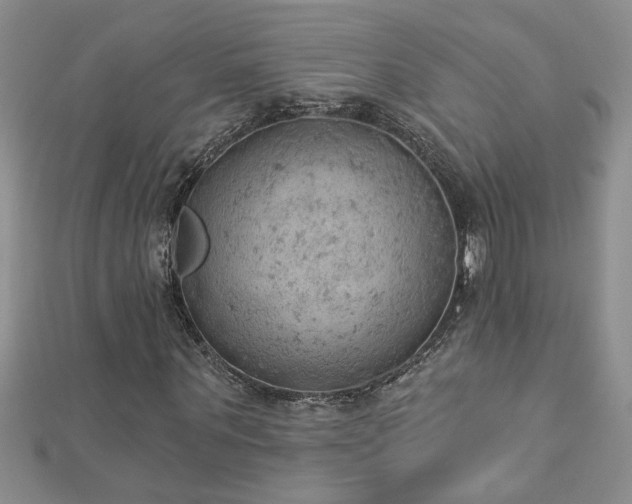 X0000112780867200908201527