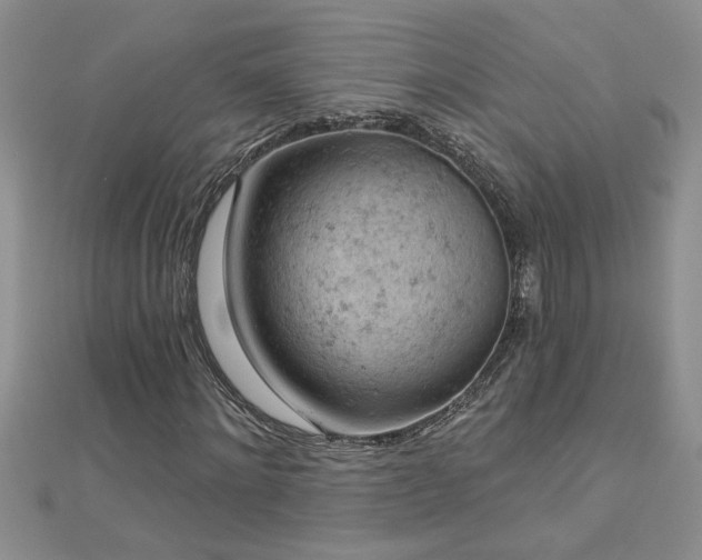 X0000112780868200908201527