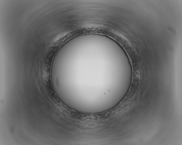 X0000112780869200908201527