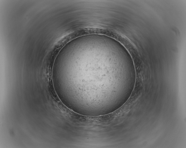 X0000112780870200908201527