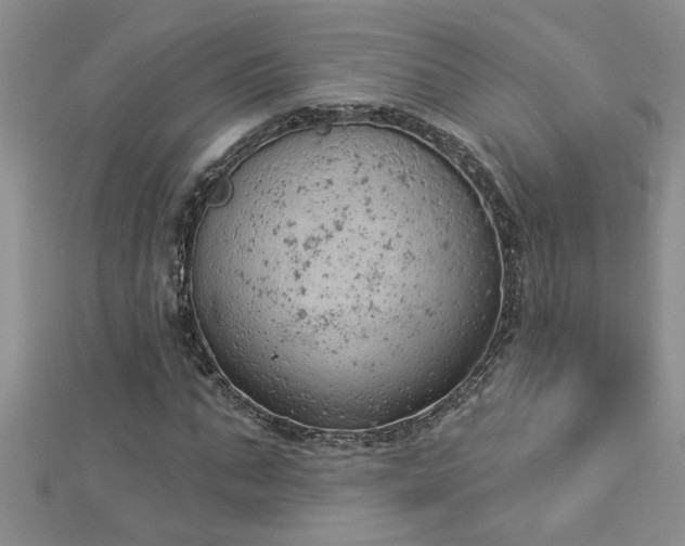 X0000112780871200908201527