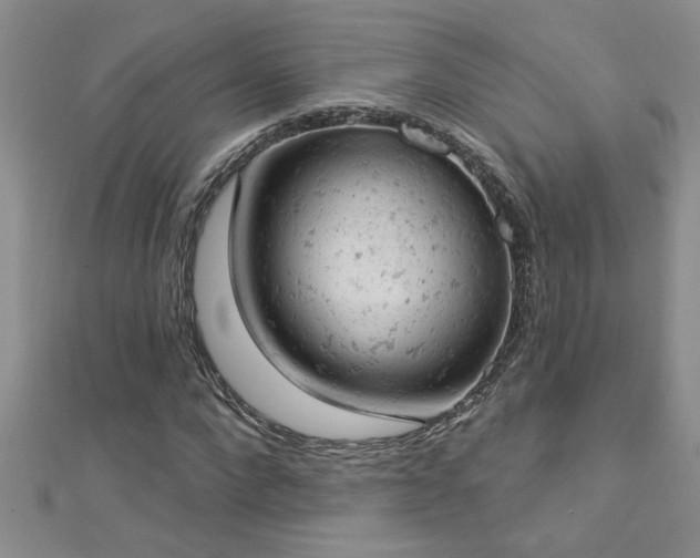 X0000112780872200908201527