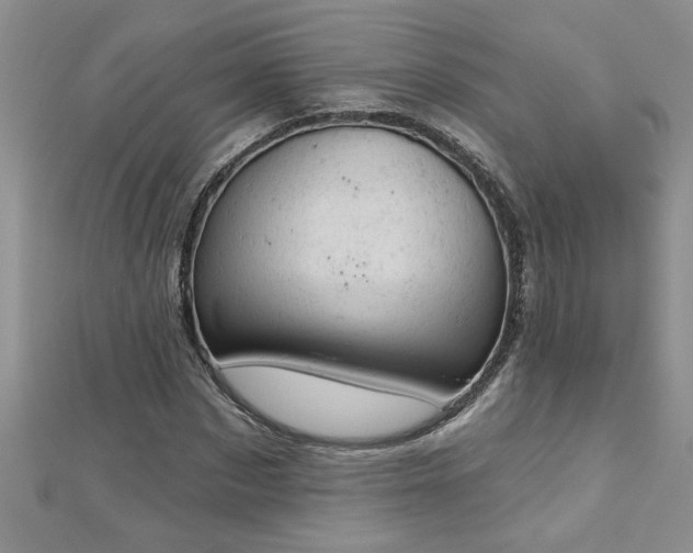 X0000112780873200908201527