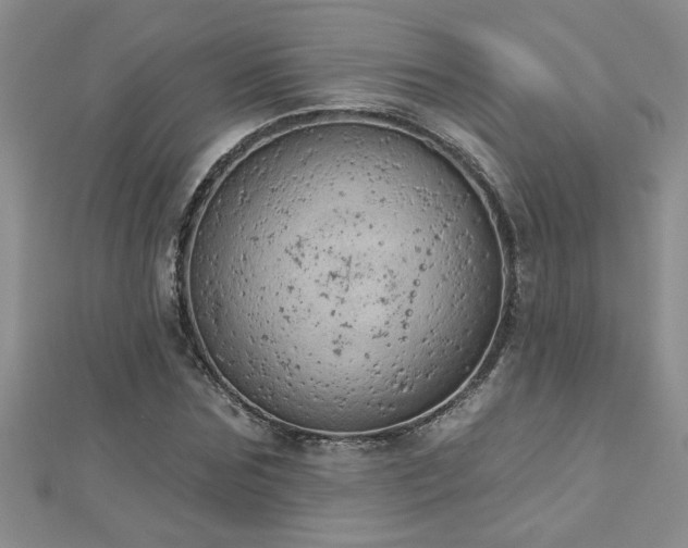 X0000112780875200908201527