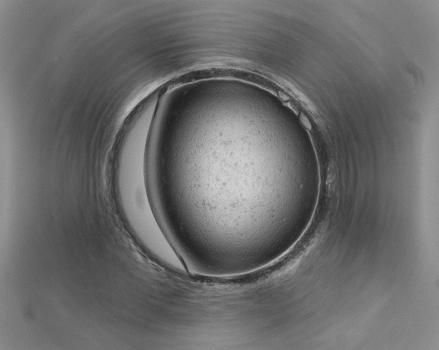 X0000112780877200908201527