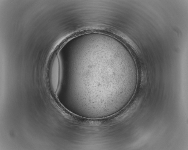 X0000112780878200908201526