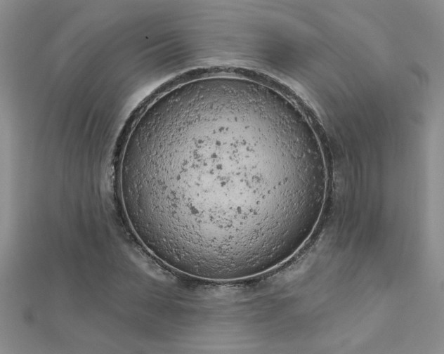 X0000112780879200908201526