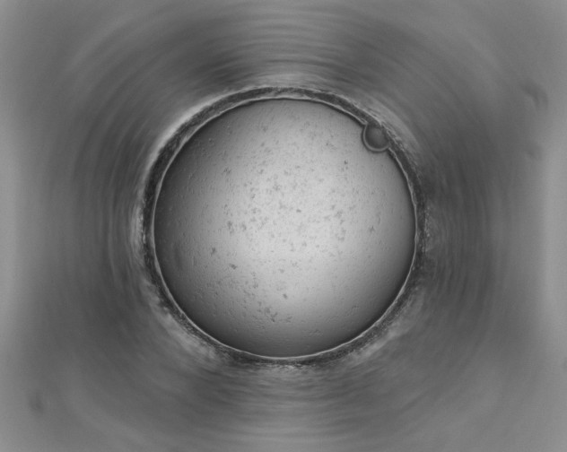 X0000112780880200908201526