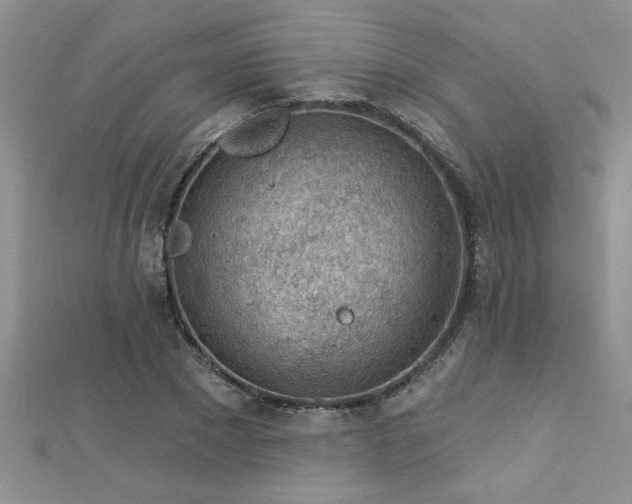 X0000112780881200908201526