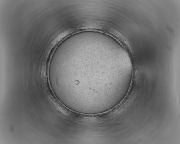 X0000112780882200908201526