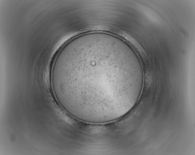 X0000112780886200908201526