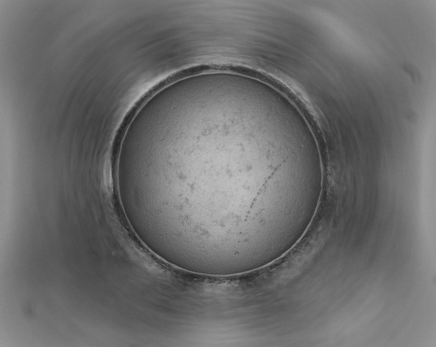 X0000112780887200908201526