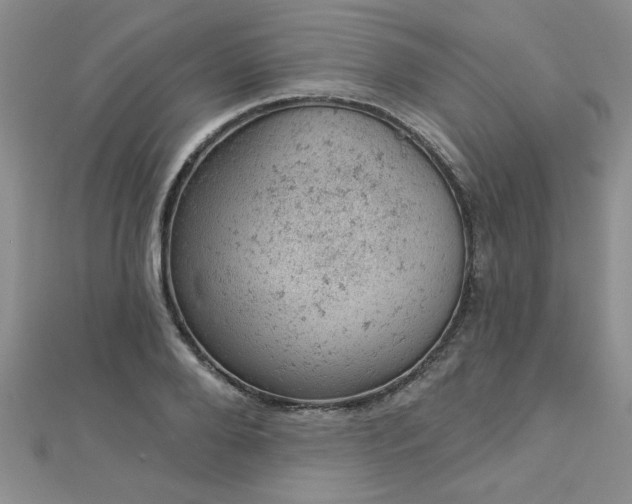 X0000112780888200908201526